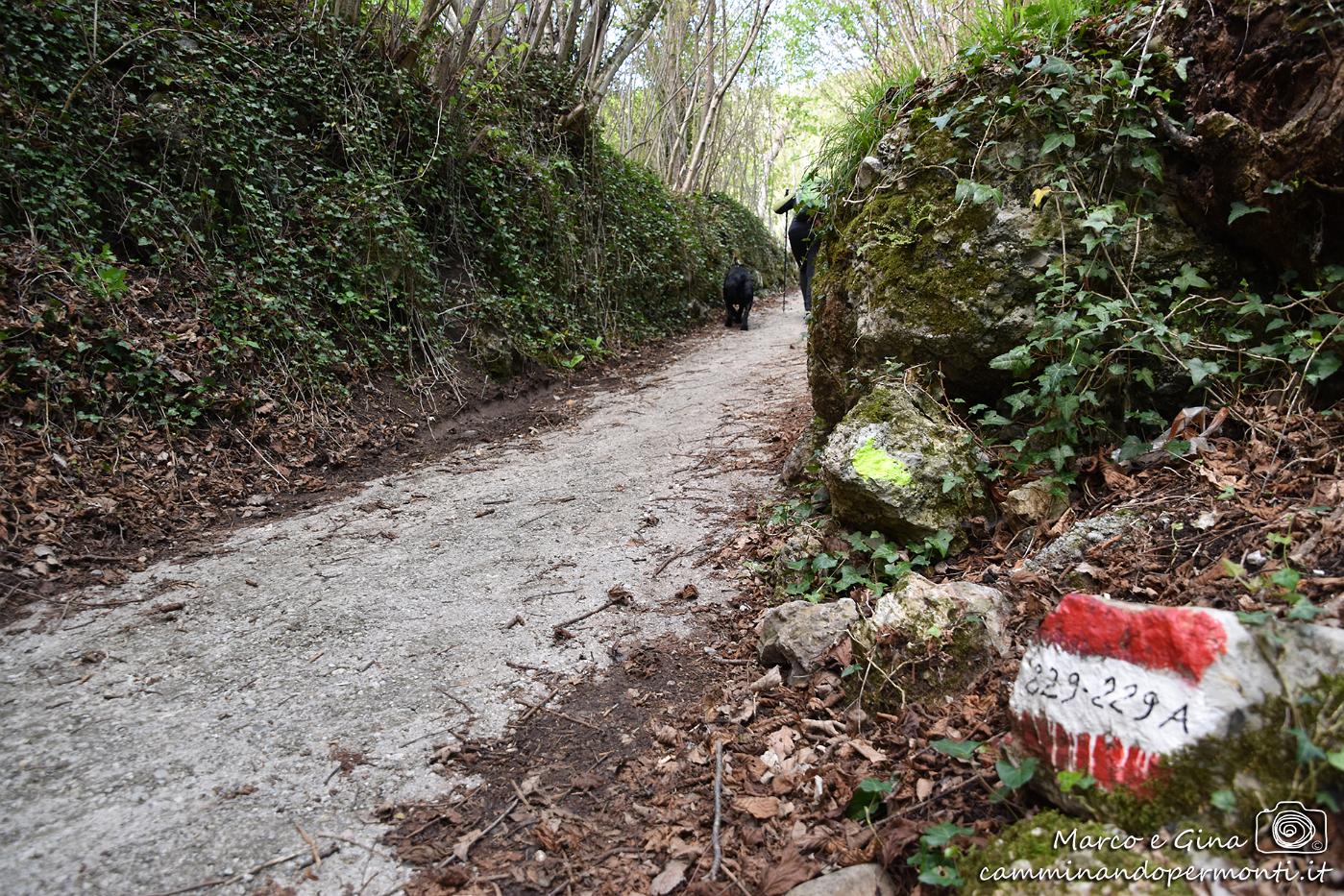 06 Zone - Sentiero 229A - Corna Trentapassi.JPG